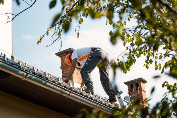 Quick and Trustworthy Emergency Roof Repair Services in The Plains, OH