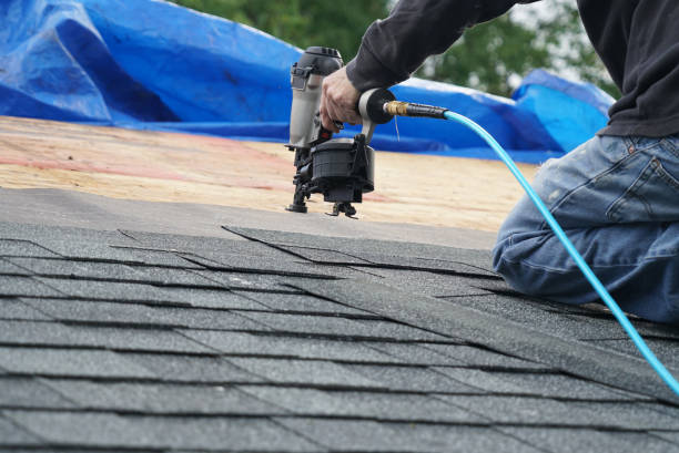 Best Flat Roof Repair Services  in The Plains, OH