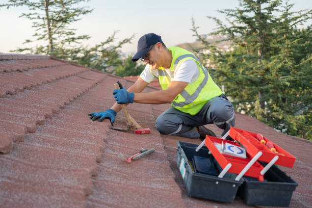 Best Roof Restoration Services  in The Plains, OH