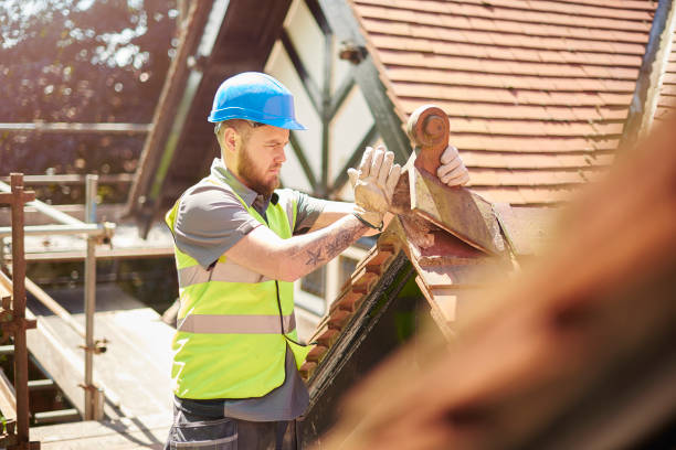 Best Gutter Installation and Roofing  in The Plains, OH